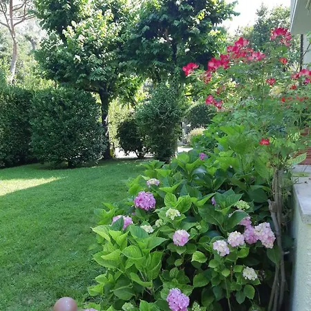 A Dei Marmi Villa Forte dei Marmi